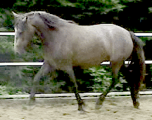 VanessaD