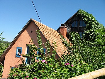 VillaTiergartenFeWo
