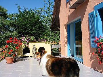 VillaTiergartenFeWoTerrasse