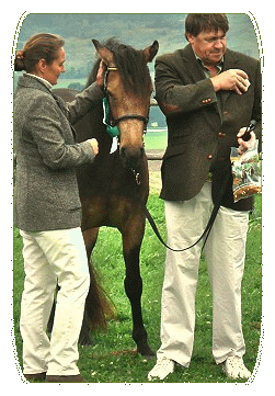 ASTuula2congratulatingSouthGermanshow07