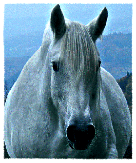 Vanity3Nov2007