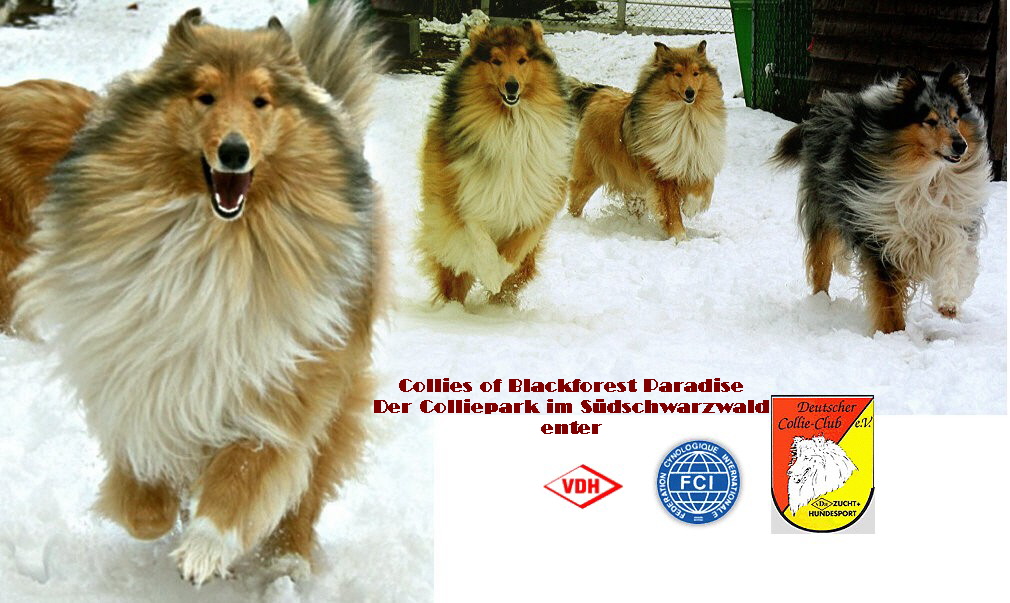 Verkn�pfung7aOstern08