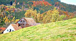 Villa TiergartenvonobererHauswieseAusschnittklein7Nov2006